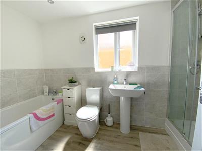 Picture 27
